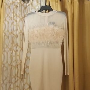 Fashion Nova Pink Sheath Long Sleeve Mock Neck Dress